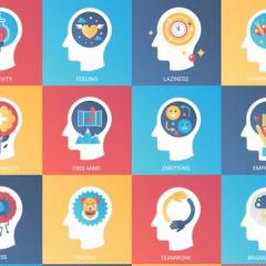 A collage of icons in head shape with various images in each head.